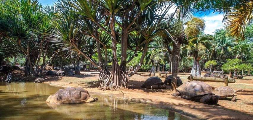 La Vanille Nature Park (Crocodile Park)